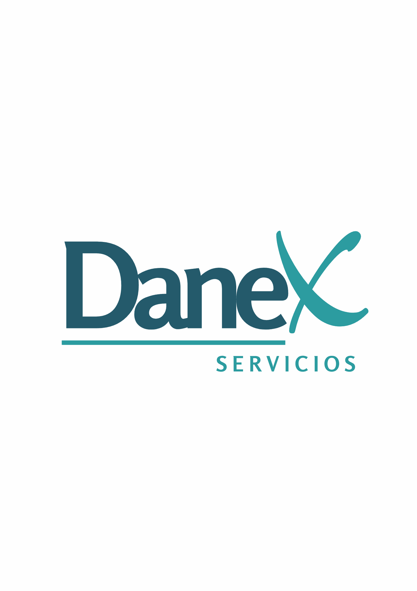Danex Servicios